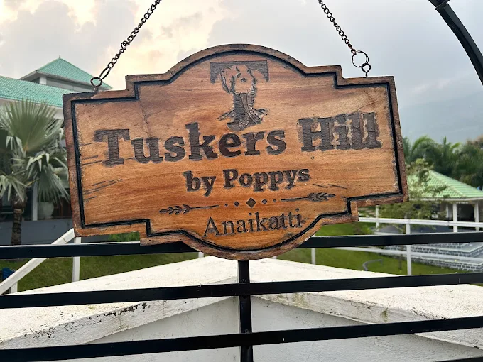 A Joyful Family Getaway in Nature