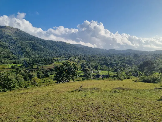 Tuskers Hill Resort Anaikatti offering comfort and nature in the Western Ghats