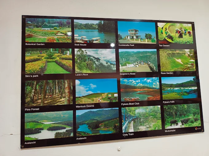 Comfortable City-Centre Stay Near Botanical Garden