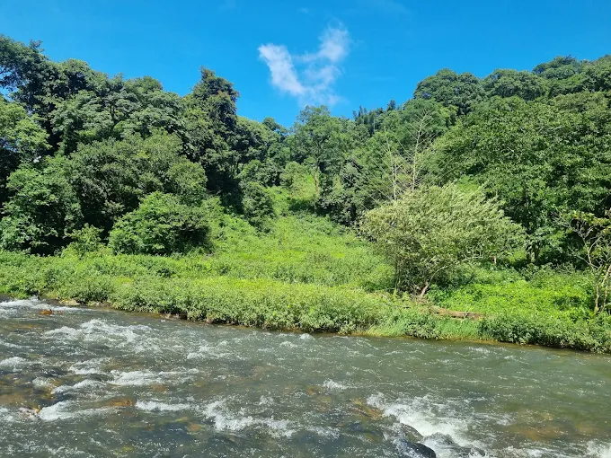 Peaceful Hill Resort with Breathtaking Views