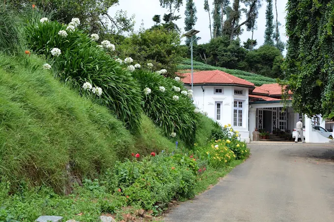 Outstanding Service for a Memorable Family Trip