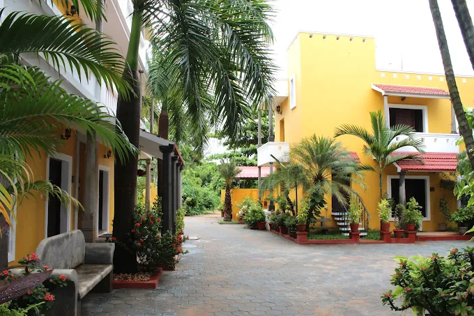 A Hidden Gem with Warm Hospitality