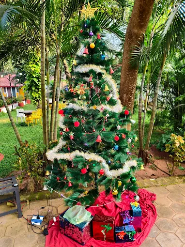 Festive Stay with Exceptional Service